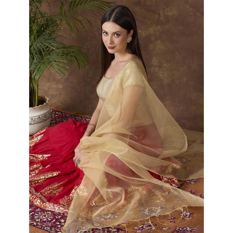 Dupatta Bazaar Organza Dupatta