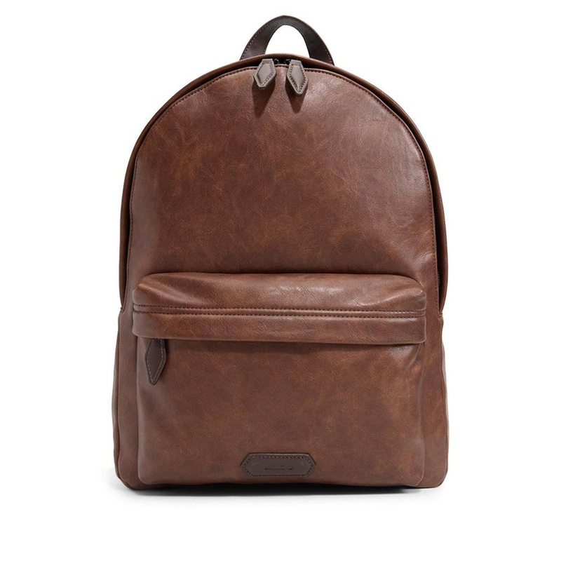 ALDO Men Up to 23 Litres Backpack