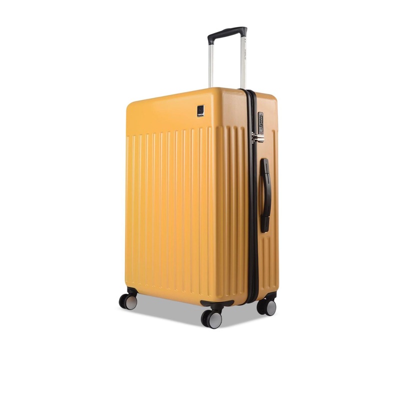 Timus Neolite Textured Hard-Sided Large Trolley Bag