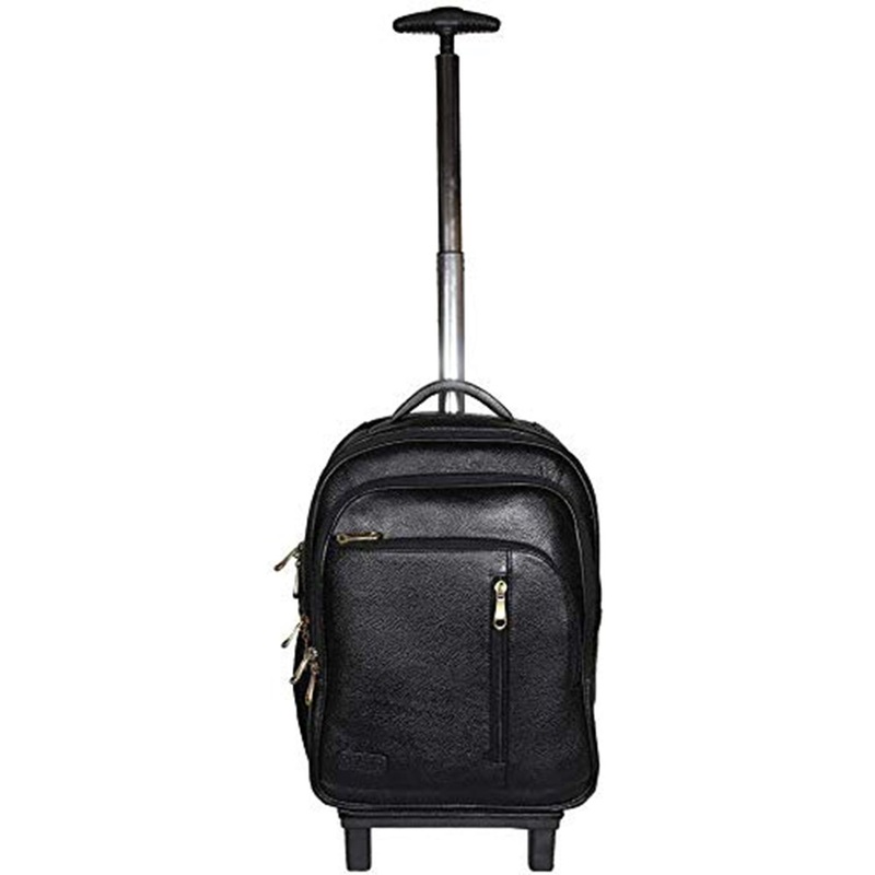 RICHSIGN Textured Leather Laptop Cabin Trolley Backpack