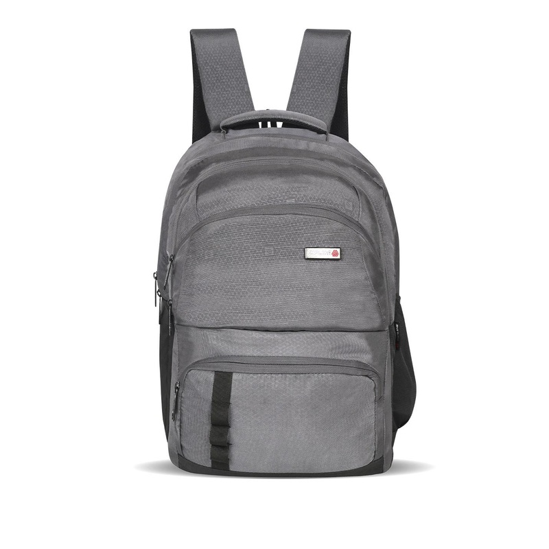 ZIPLINE Unisex Grey Backpack