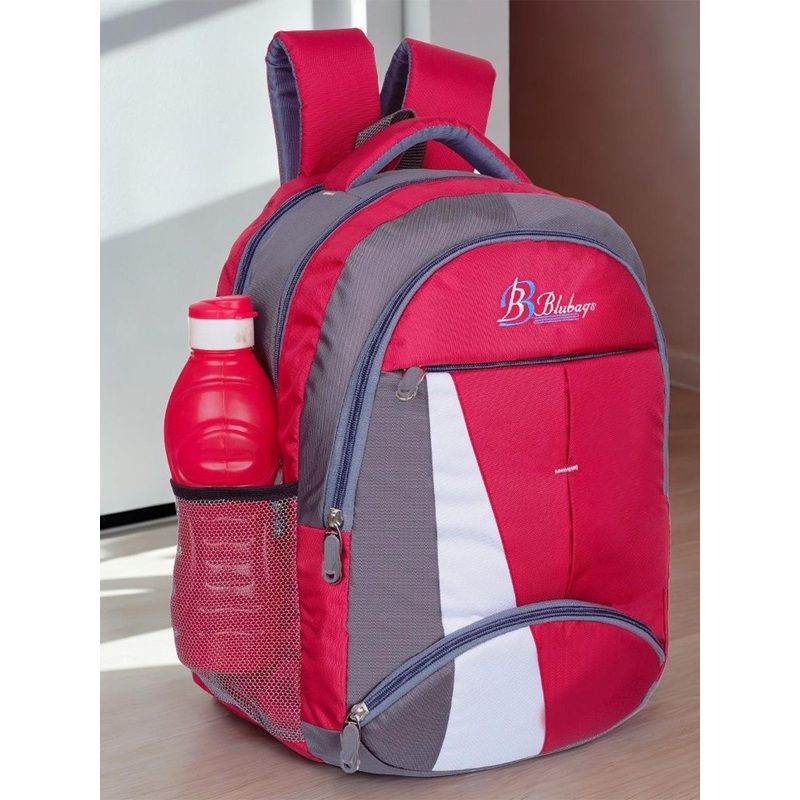 Blubags Colourblocked Padded Laptop Backpack