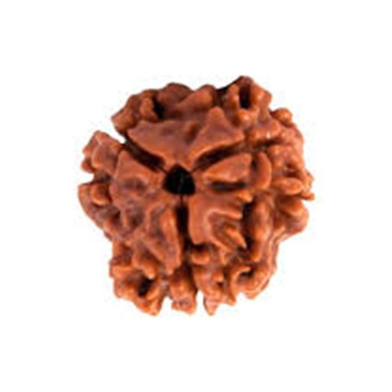 RAVIOUR LIFESTYLE Contemporary Pendants