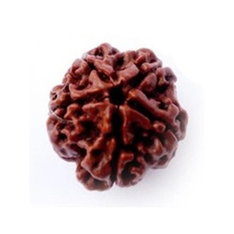 RAVIOUR LIFESTYLE 6 Face Rudraksha Brown Alloy Pendants