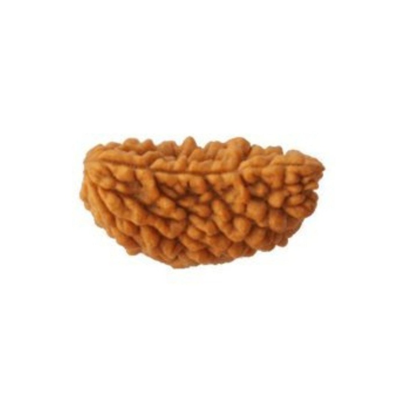 RAVIOUR LIFESTYLE Durga gems Unisex Alloy 1 Mukhi Rudraksha Natural Lab Certified Pendants