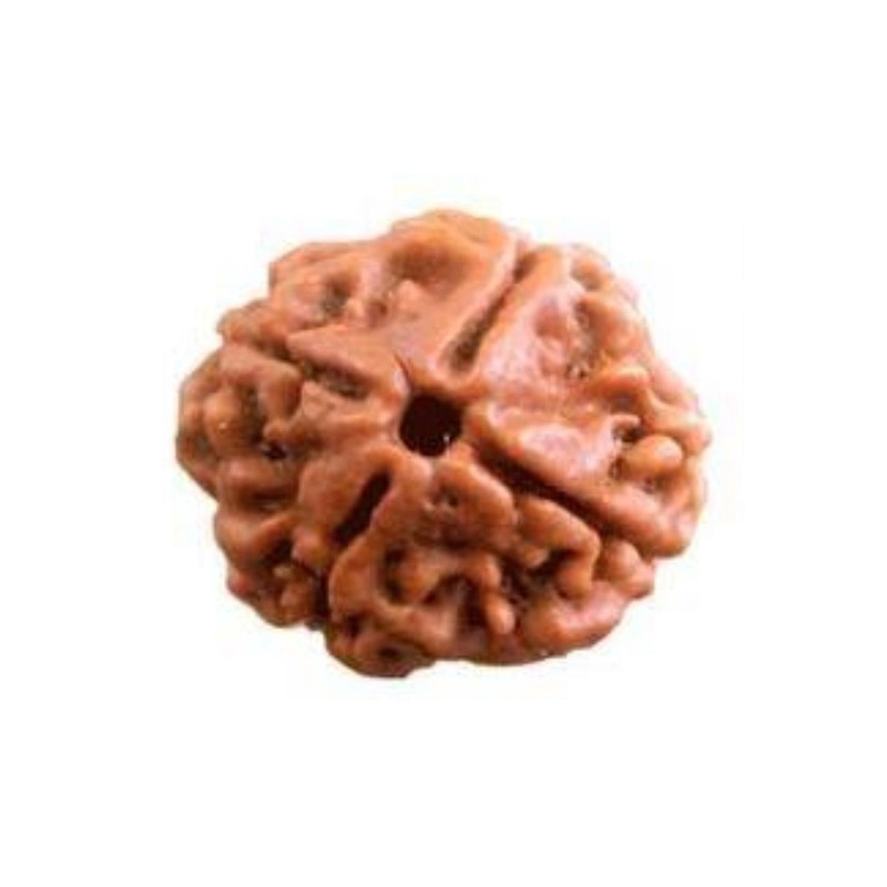 RAVIOUR LIFESTYLE Quirky Four Face Rudraksha Natural Wood Pendant