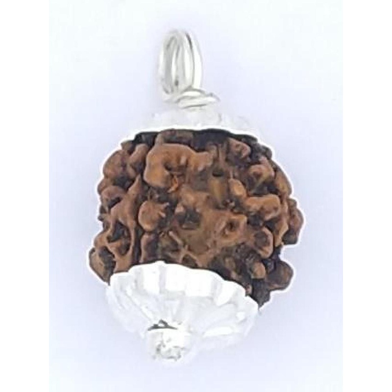 RAVIOUR LIFESTYLE Unisex 5 Mukhi Rudraksha Alloy Pendants