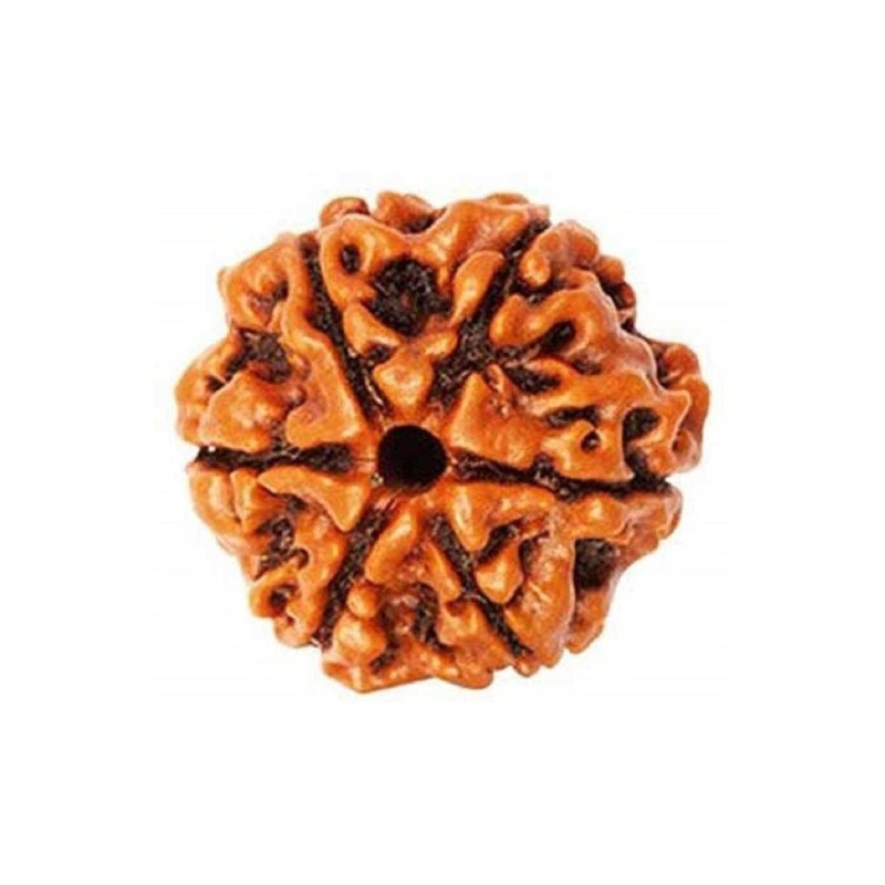 RAVIOUR LIFESTYLE Unisex  5 Mukhi Rudraksha Beads Spherical Pendants