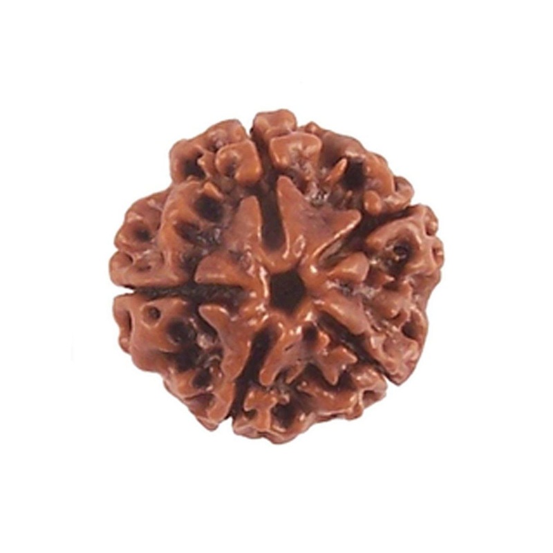 RAVIOUR LIFESTYLE Unisex Contemporary NARAYAN 5 Mukhi Rudraksha Pendants
