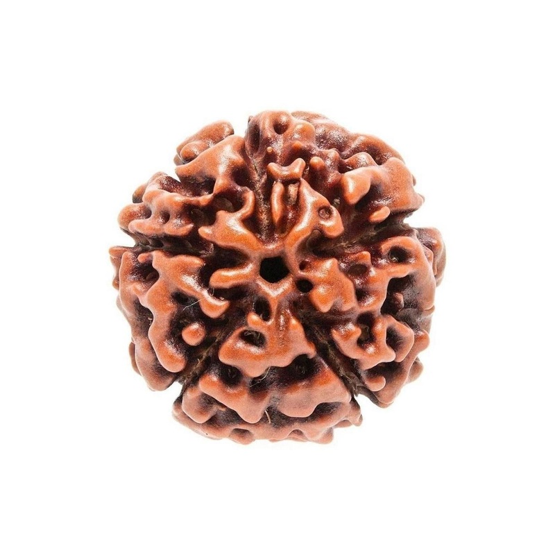 RAVIOUR LIFESTYLE Unisex Natural Certified Five Mukhi Nepali Rudraksha Beads Pendent