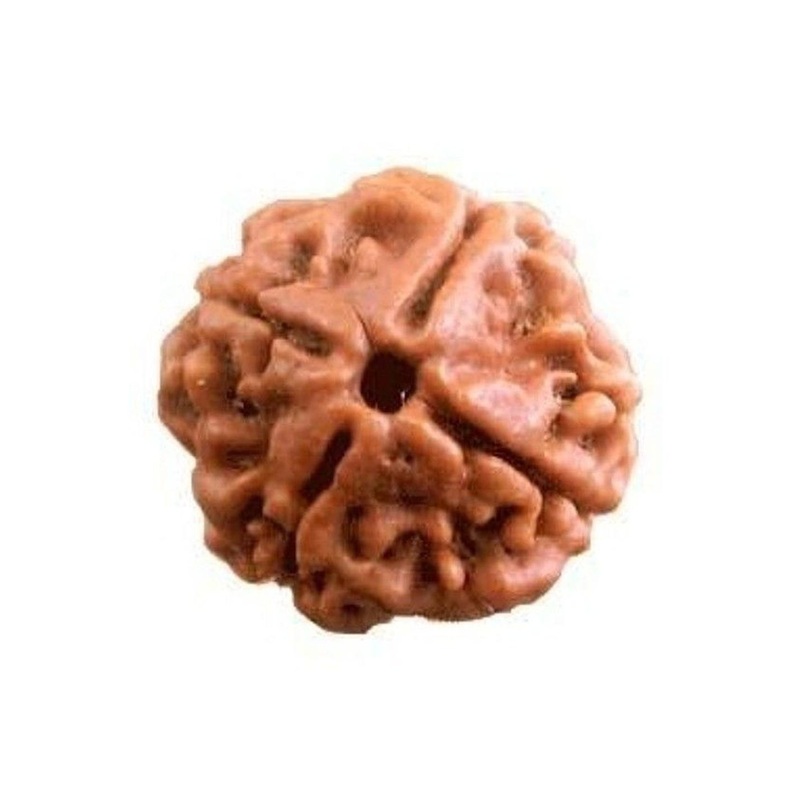 RAVIOUR LIFESTYLE Unisex Quirky 4 Face Rudraksha 100% original Wood Pendants