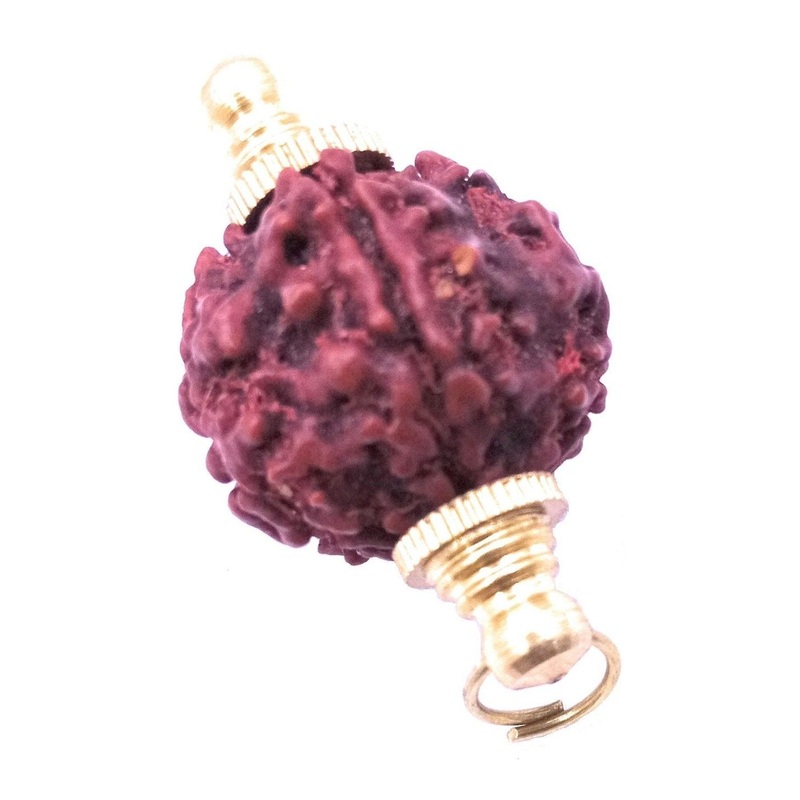 RAVIOUR LIFESTYLE Unisex Rudraksha Pendant