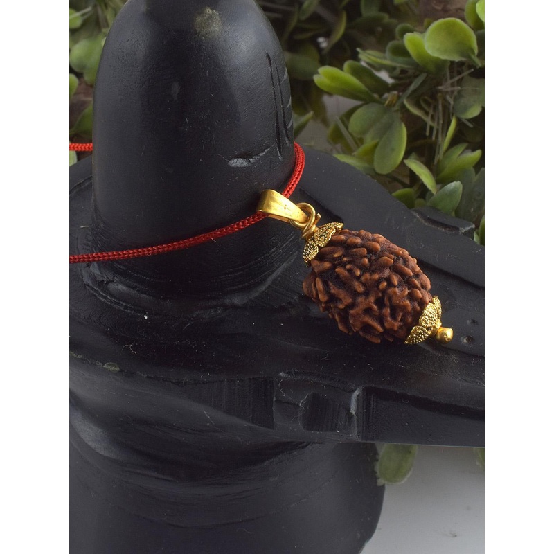 ADMIER Unisex Gold-Plated Three Faced Mukhi Nepali Rudraksha Beaded Pendant with Chain