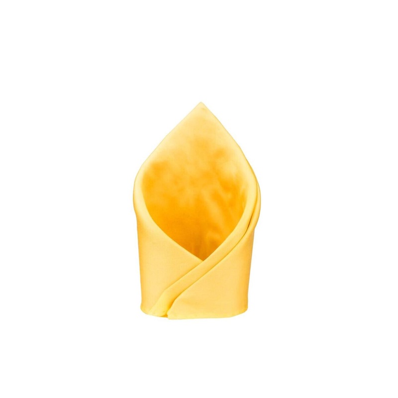 The Tie Hub Pure Silk Pocket Squares