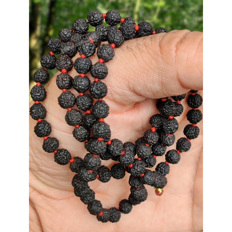 Apnisanskriti Unisex 5-Face Black Rudraksha Mala