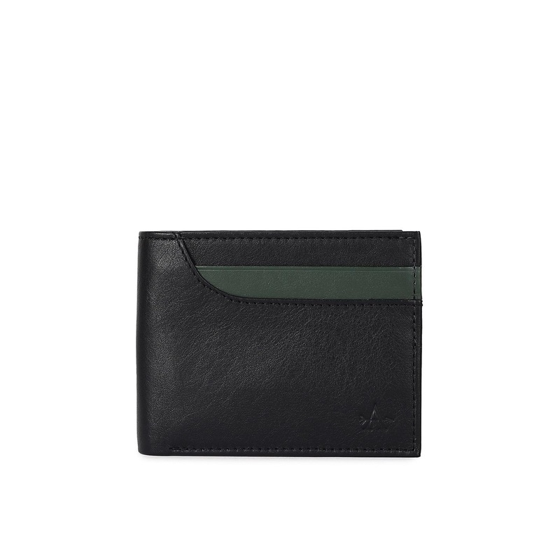 Arrow Men Colourblocked Leather Two Fold Wallet