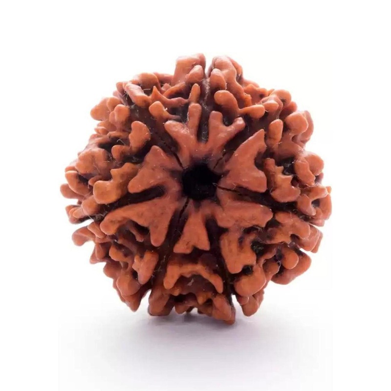 GenZcomplex Unisex 7 Mukhi Circular Rudraksha Pendant