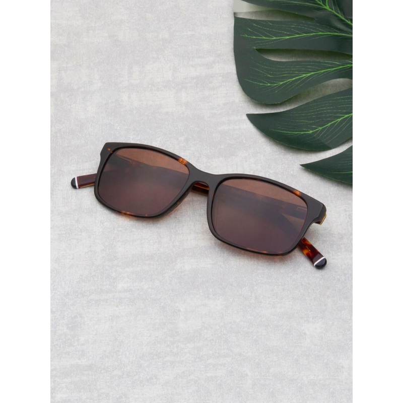 Ted Smith Unisex Wayfarer Sunglasses with Polarised Lens CROSBIE_C3
