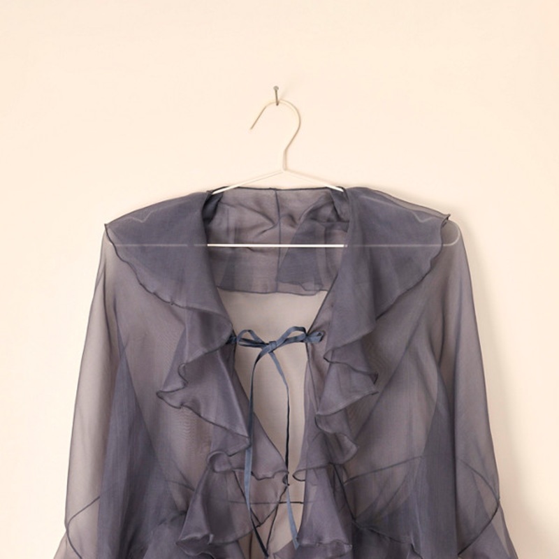 Vintage Sheer Organza Blouse