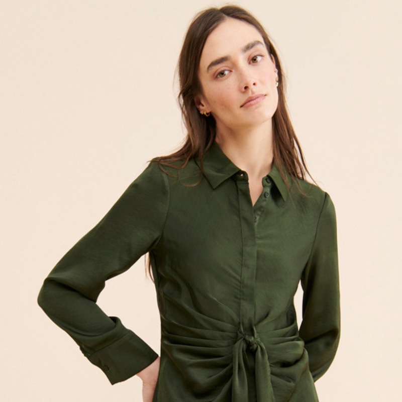 The Curious Shirtdress