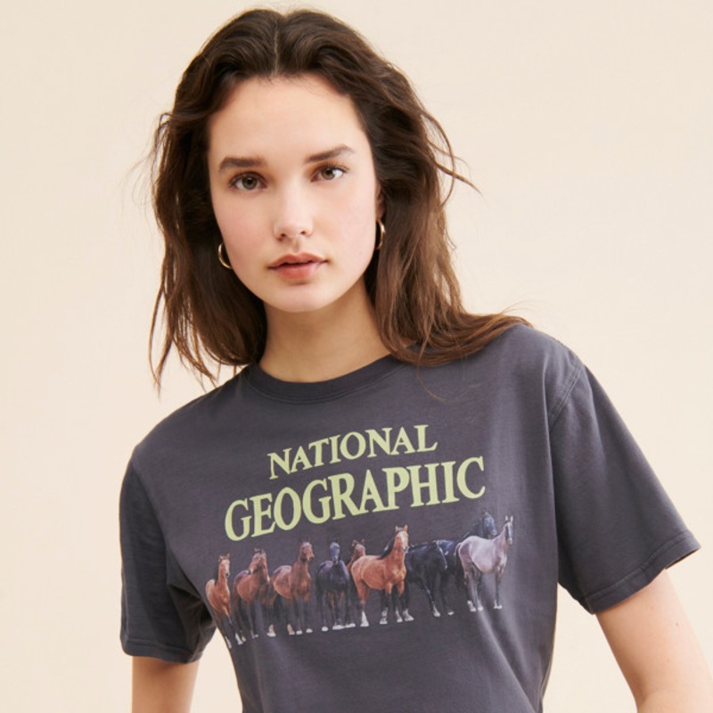 National Geographic Horse Tee